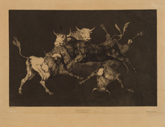 Bulls by Francisco Goya