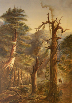 Bush Scene by Francis Edward Nairn