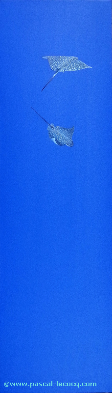 Exhibit image