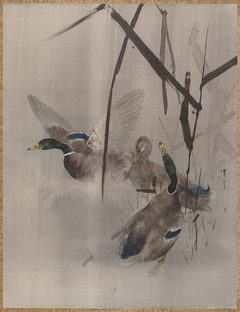 Ducks in the Rushes by Watanabe Shōtei