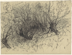 Enkele knotwilgen by Egbert Rubertus Derk Schaap