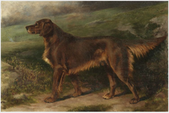 Garryowen (1876-1887), Champion Irish Red Setter by William Osborne