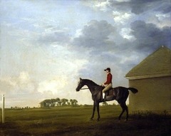 Gimcrack, with John Pratt up, on Newmarket Heath by George Stubbs