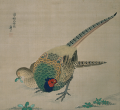 Hanging Scroll (pair of pheasants) by Maruyama Ōkyo