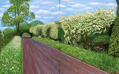 Hawthorne Blossom Near Rudston by David Hockney