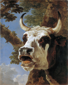 Head of a lowing Ox by Jan Asselijn