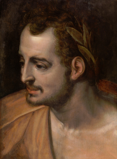 Head study of a Roman emperor by Frans Floris I