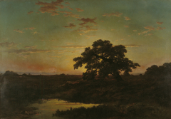 Heath Landscape at Sunset by Louwrens Hanedoes