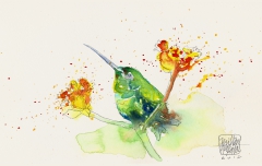 hummingbird by Milton Koji Nakata