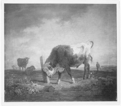 Junger Stier, sich an einem Pfosten reibend by Max Joseph Wagenbauer