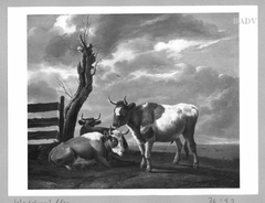 Kühe und Stier auf der Weide by Ferdinand Georg Waldmüller