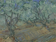 Olive Grove by Vincent van Gogh