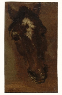 Paardenhoofd by Henriëtte Ronner