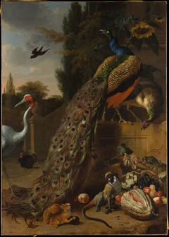 Peacocks by Melchior d'Hondecoeter