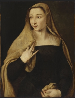 Portrait of a Lady by Italian Painter