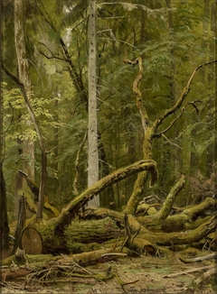 Sawn oak by Ivan Shishkin