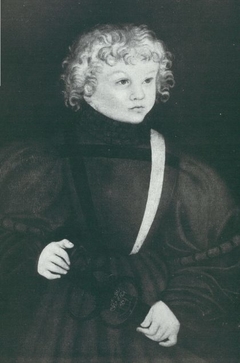 Severin of Saxony by Lucas Cranach the Elder