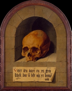 Skull in a Niche by Barthel Bruyn the Elder