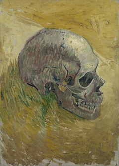 Skull by Vincent van Gogh