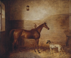 Taglioni and Hector by George Morley