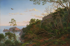 Tea Trees near Cape Schanck, Victoria by Eugene von Guerard