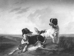 Twee honden strijden om een haas by Guillaume Anne van der Brugghen