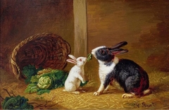 Two Rabbits by Henri Baert