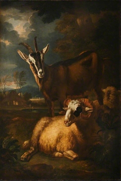 Two Rams, a Sheep and a Goat by Anonymous