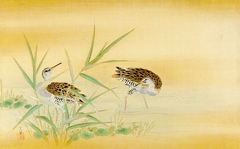 Two Snipes in a Stream by Kanō Tsunenobu