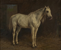 White Horse by Rosa Bonheur