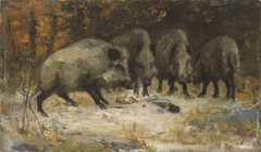 Wild Boars by John Macallan Swan