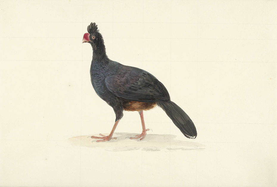 Exhibit image